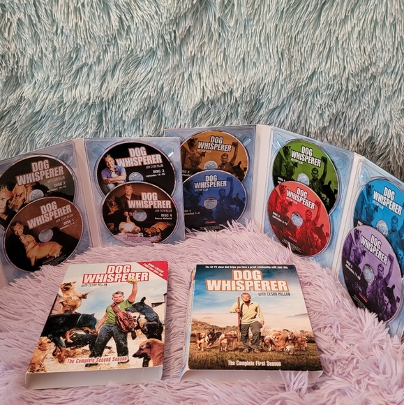 📺Dog Whisperer with Cesar Millan Season 1&2 - Picture 6 of 8